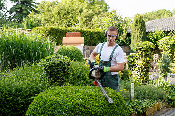 Best Aeration Services  in Livingston, CA